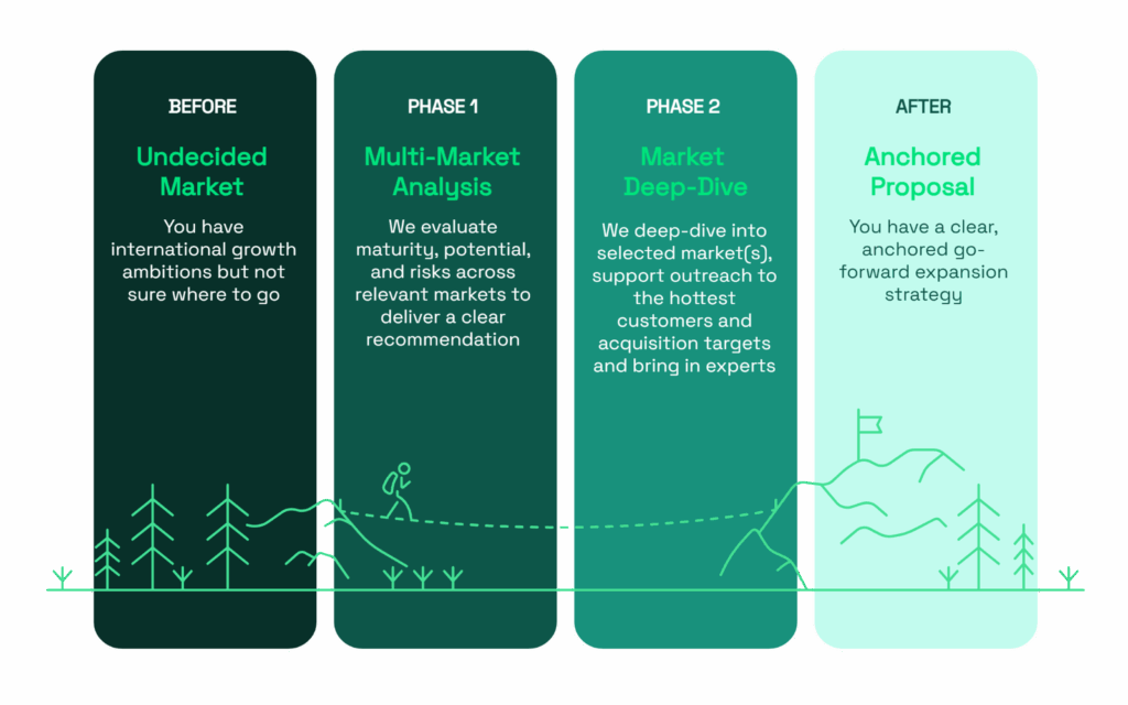 Visualization of Stepwise approach to market analysis.