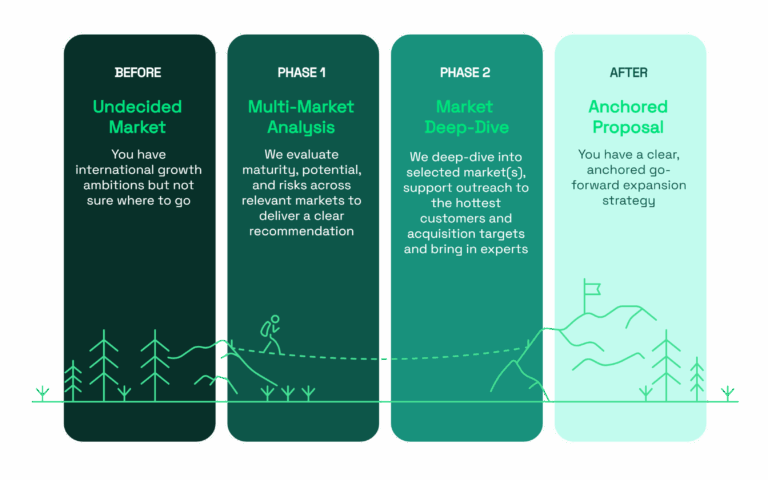 Visualization of Stepwise approach to market analysis.